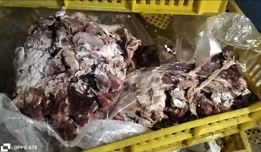ضبط لحوم فاسدة ببورسعيد، فيتو
