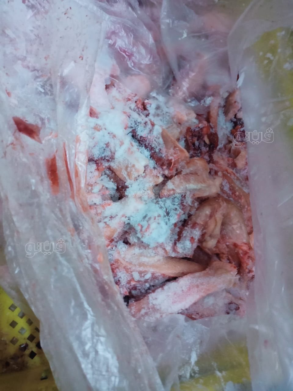 ضبط لحوم فاسدة ببورسعيد، فيتو