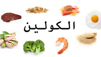 أهمية عنصر الكولين&nbsp;
