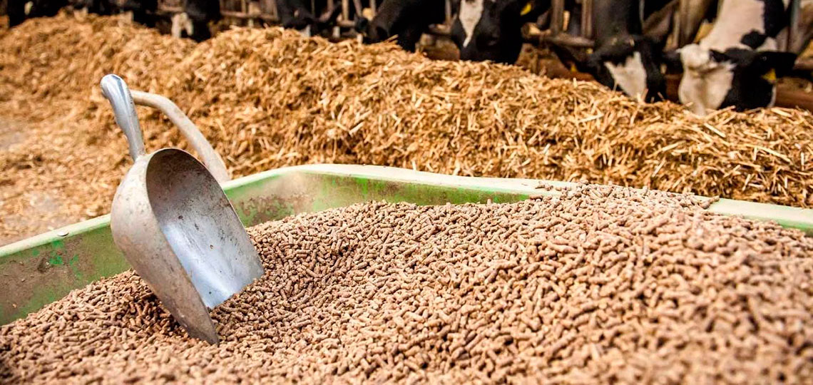 أسعار الأعلاف والحبوب اليوم في الأسواق، فيتو