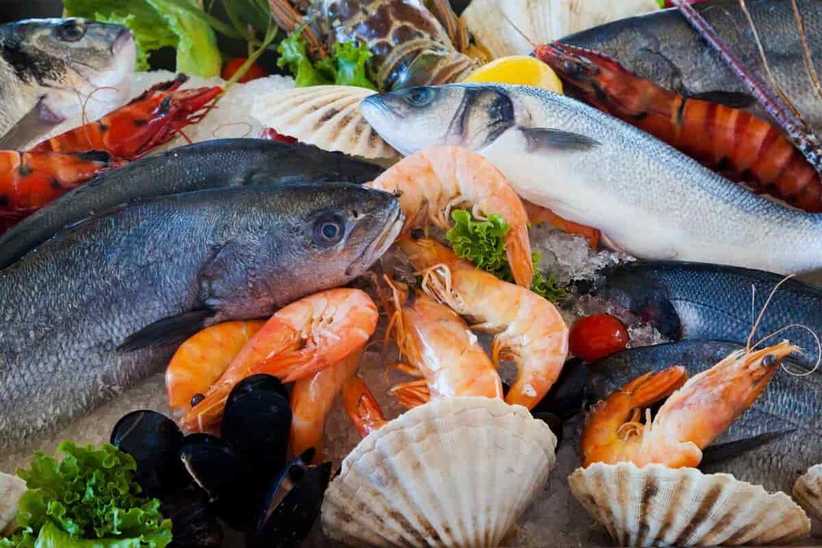 أسعار السمك اليوم، فيتو