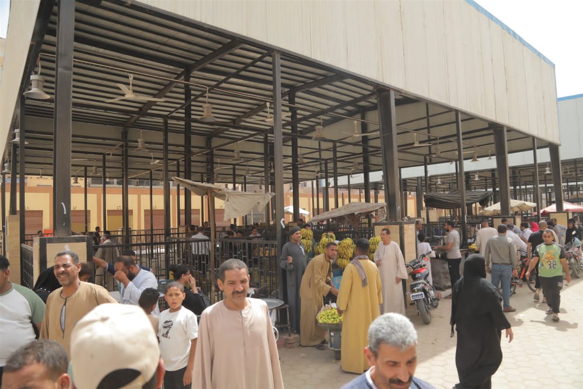 محافظ قنا يتفقد السوق الحضاري بنجع حمادي
