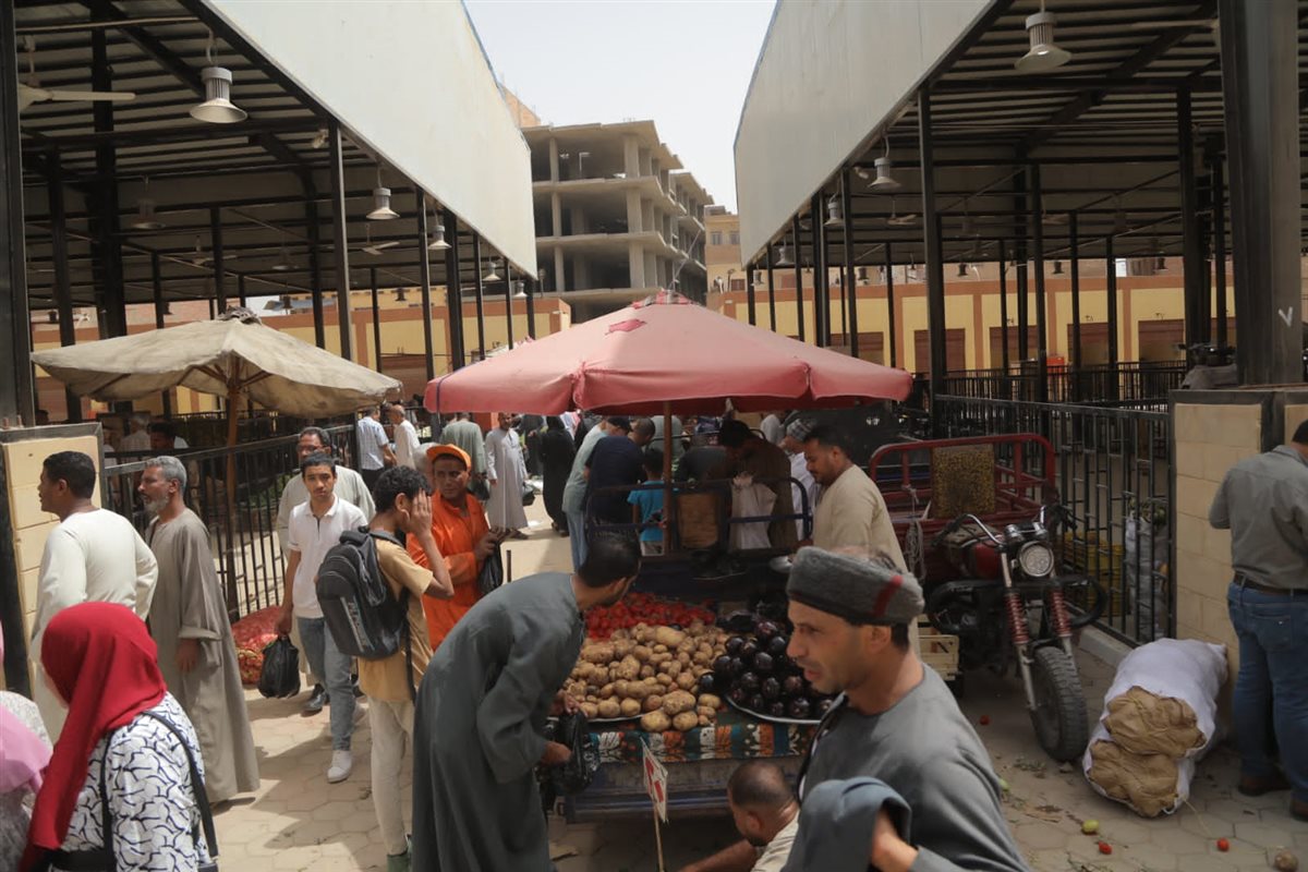 محافظ قنا يتفقد السوق الحضاري بنجع حمادي