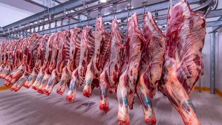 أضاحي العيد 2026، فيتو