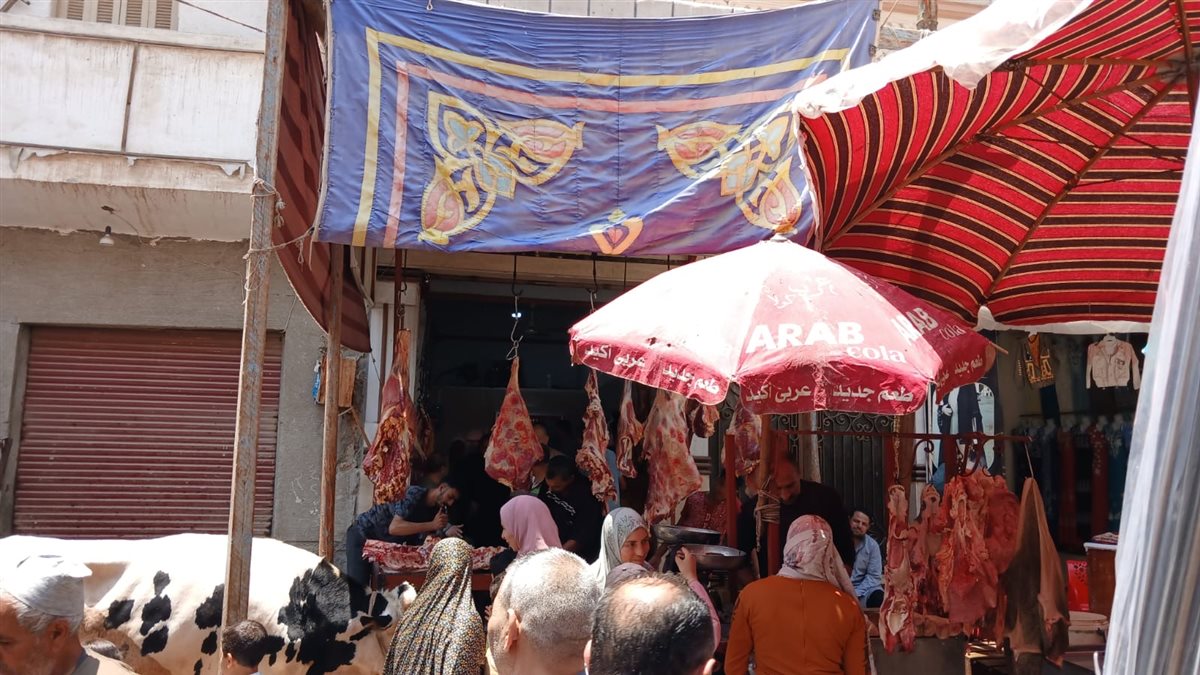 أسعار اللحوم بمحافظة البحيرة، فيتو