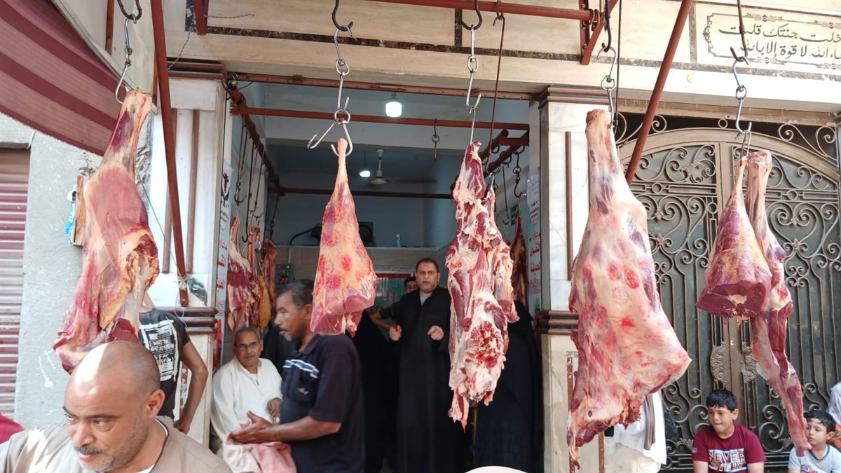 أسعار اللحوم بمحافظة البحيرة، فيتو