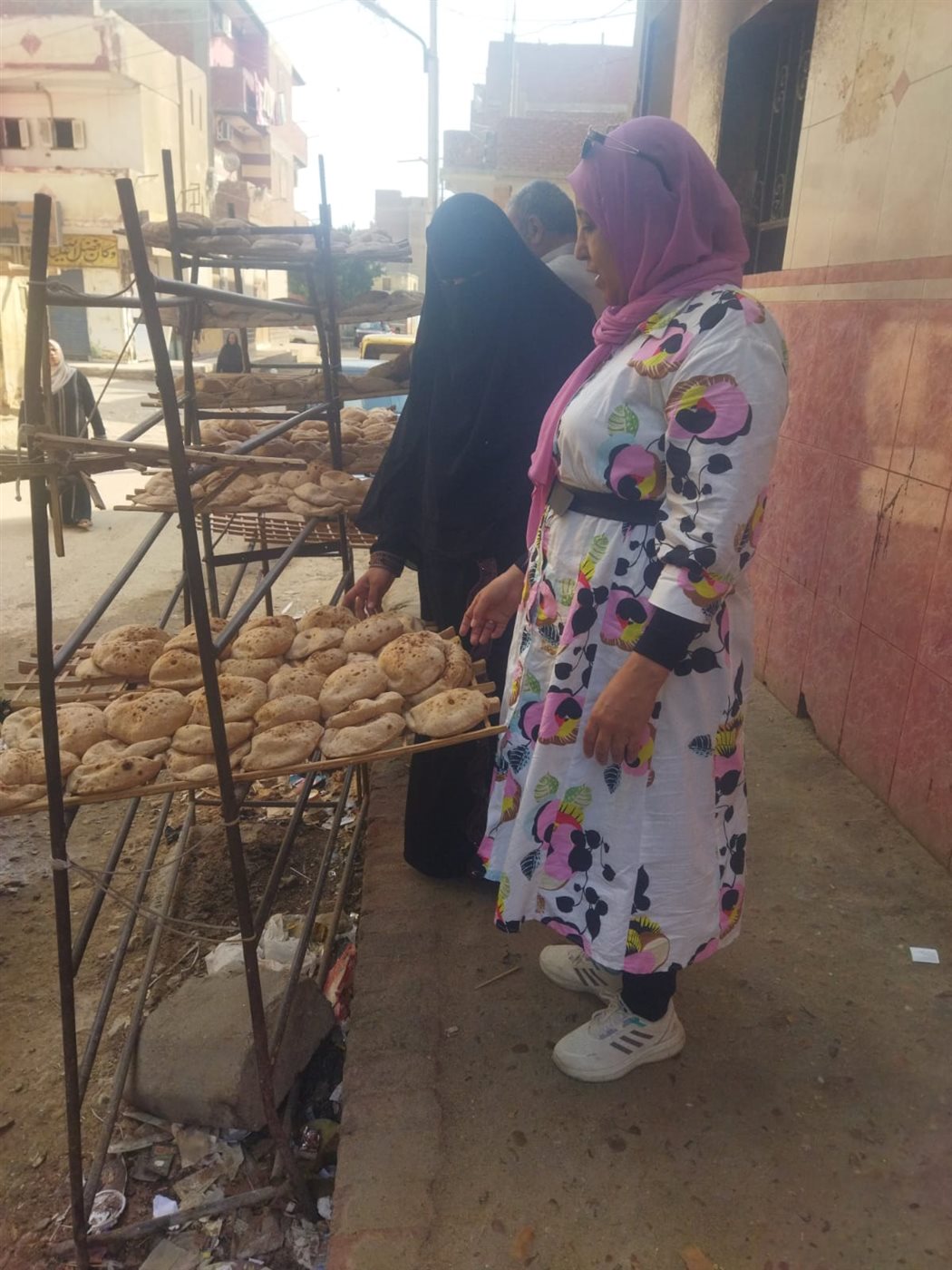 جانب من الحملات، فيتو