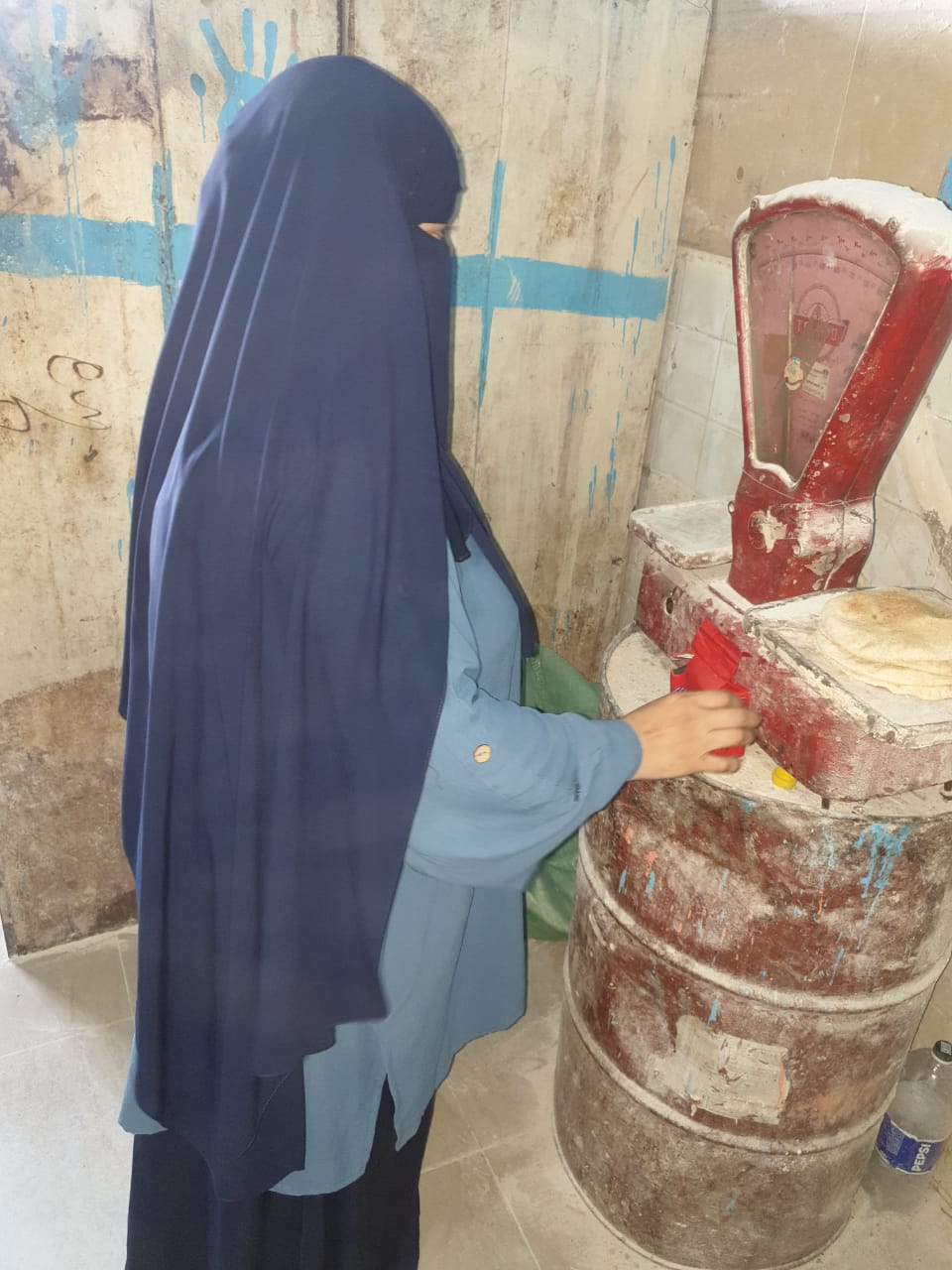 جانب من الحملات، فيتو