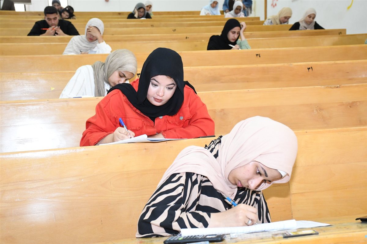 جانب من جولة الدكتور ناصر مندور باللجان، فيتو