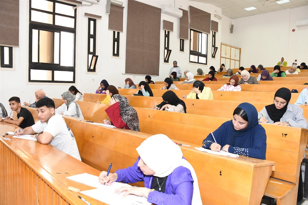جانب من جولة الدكتور ناصر مندور باللجان، فيتو