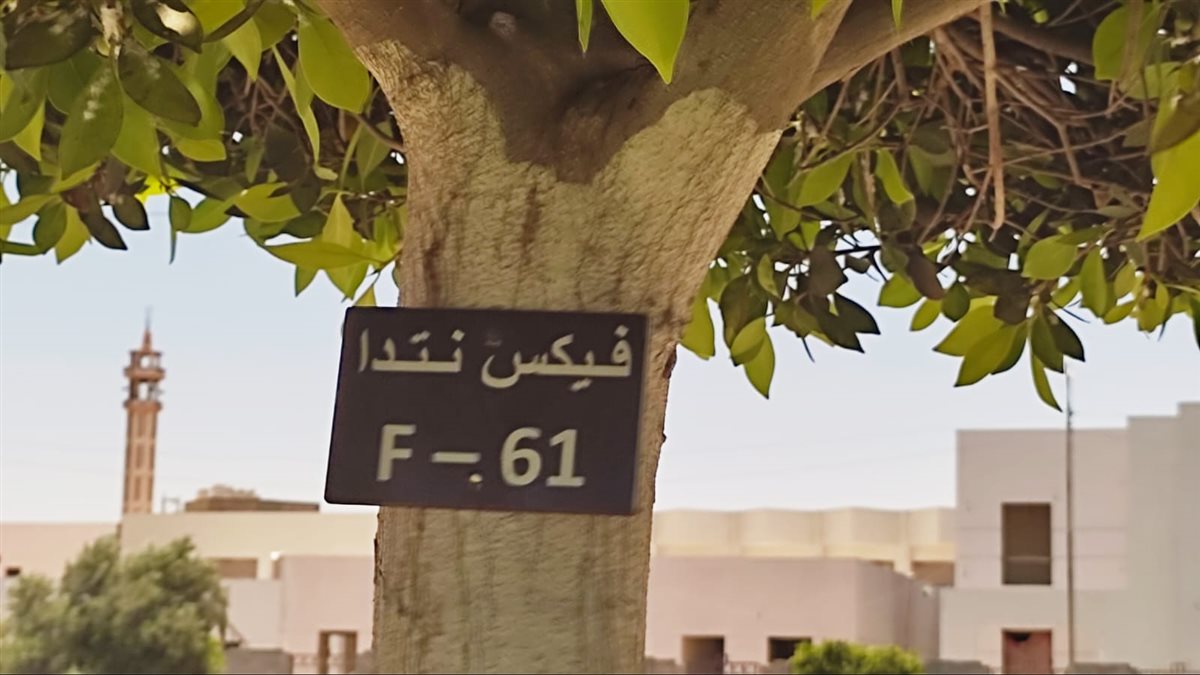 تكويد أشجار المبادرة بالإسماعيلية، فيتو