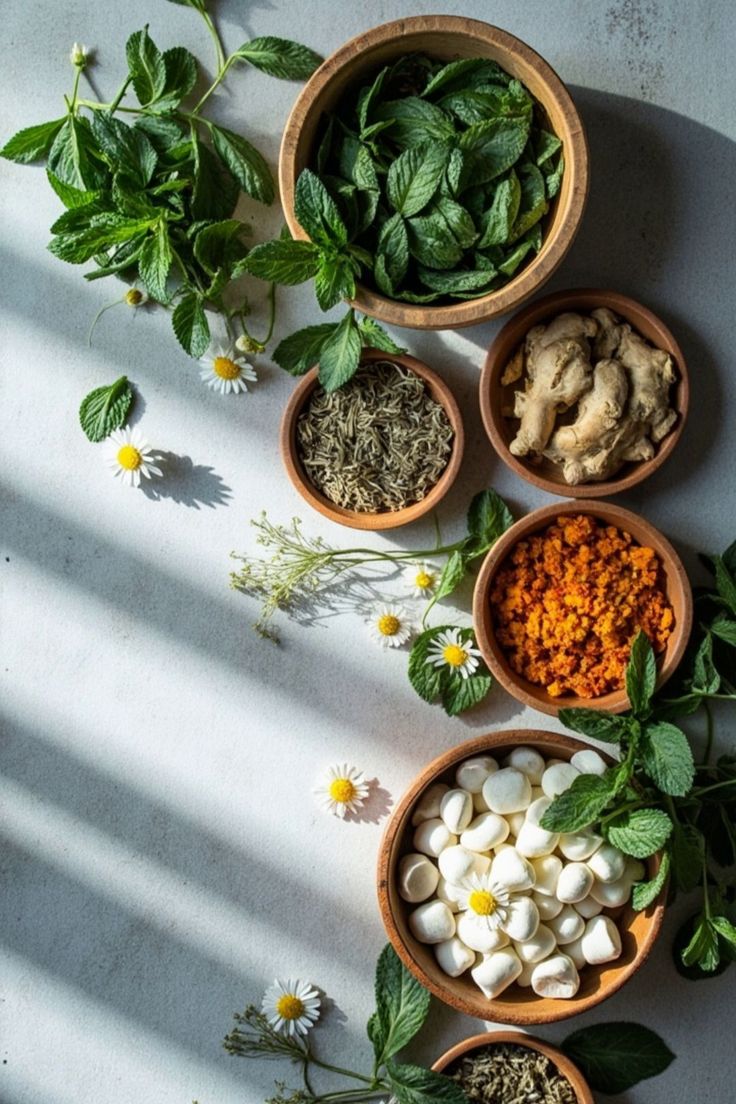 أعشاب لاضطرابات المعدة