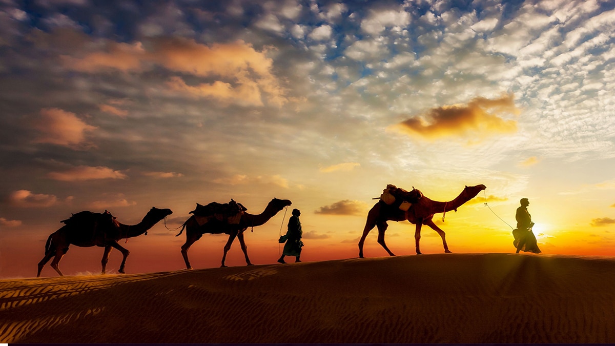 صورة تخيلية لطريق الهجرة&nbsp;