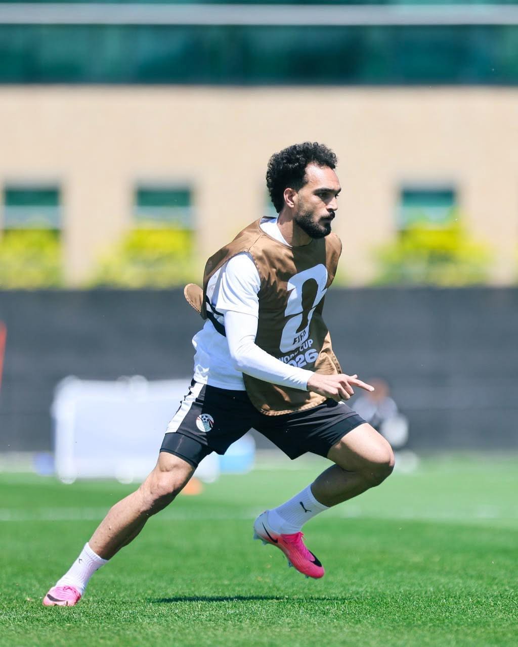 مصطفى زيكو، فيتو