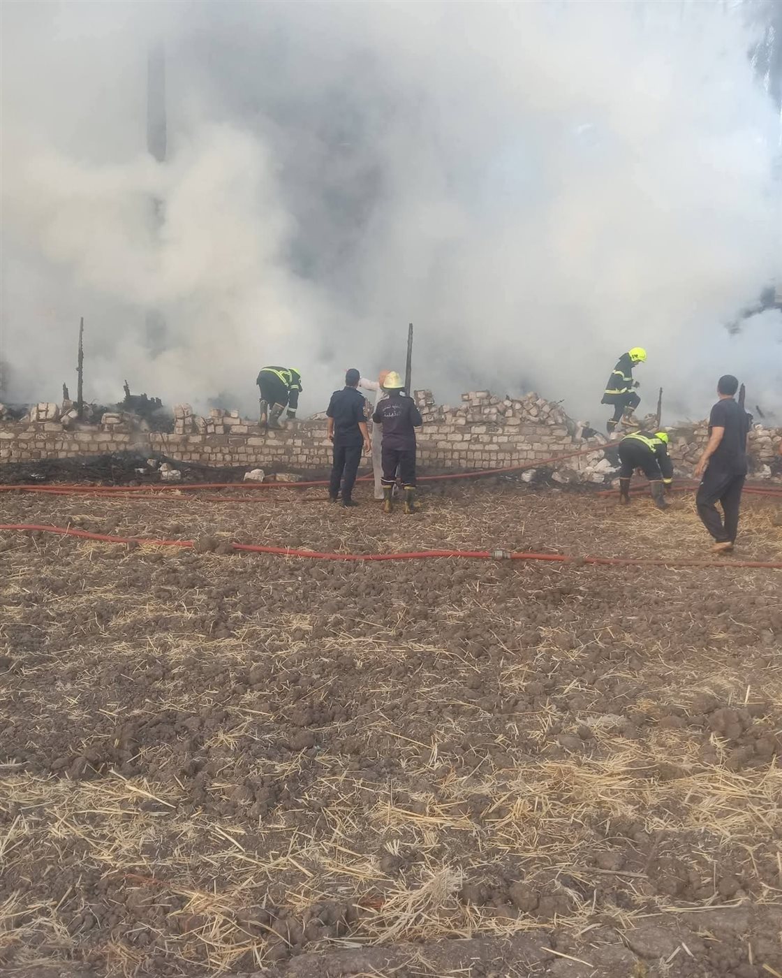 السيطرة على حريق بأرض زراعية في قرية سنفا بالدقهلية
