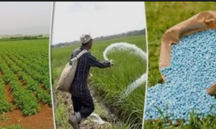 إنخفاض أسعار السمدة عالمًيا