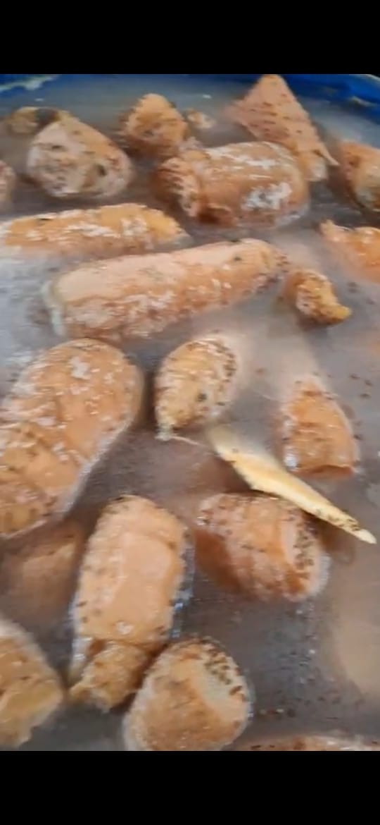 جانب من ضبط المعمل، فيتو