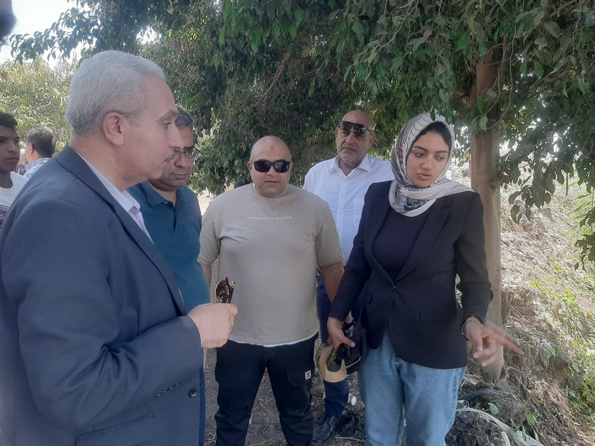 محافظ القليوبية يتابع تمساح شبين القناطر، فيتو&nbsp;