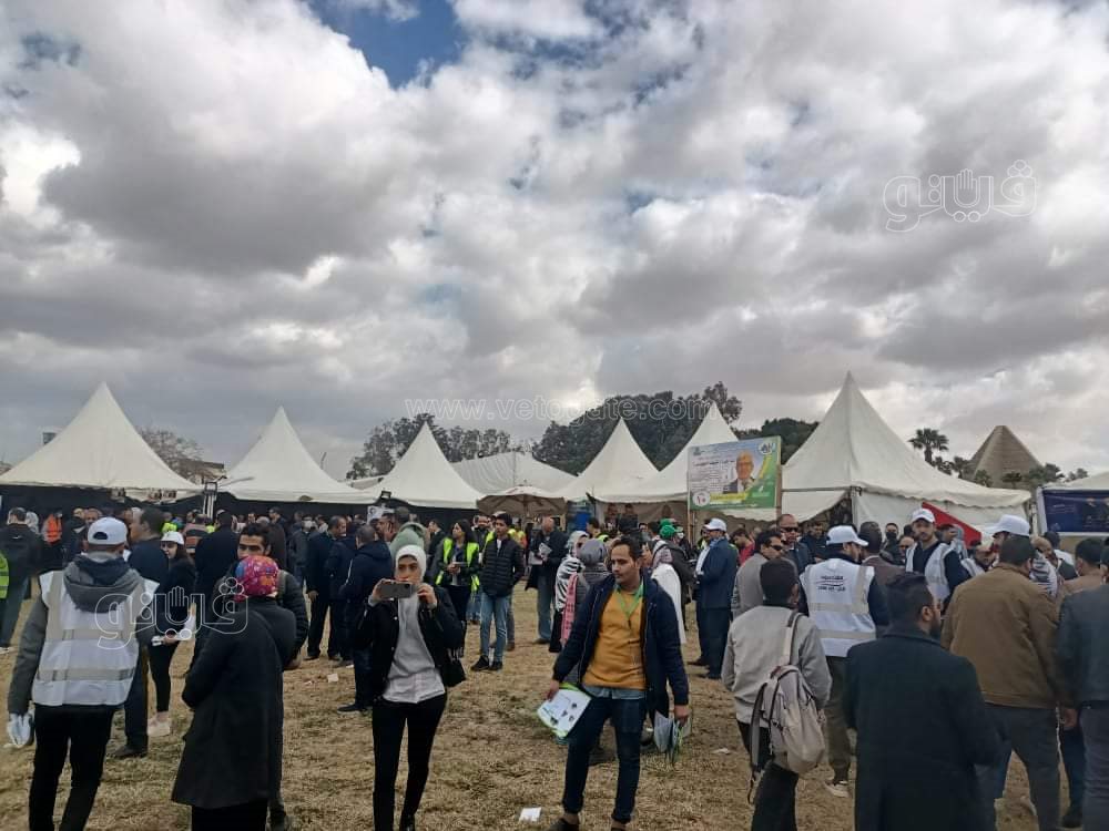 انتخابات المهندسين في القاهرة7