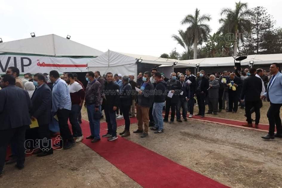 انتخابات المهندسين على مقعد النقيب العام (2)