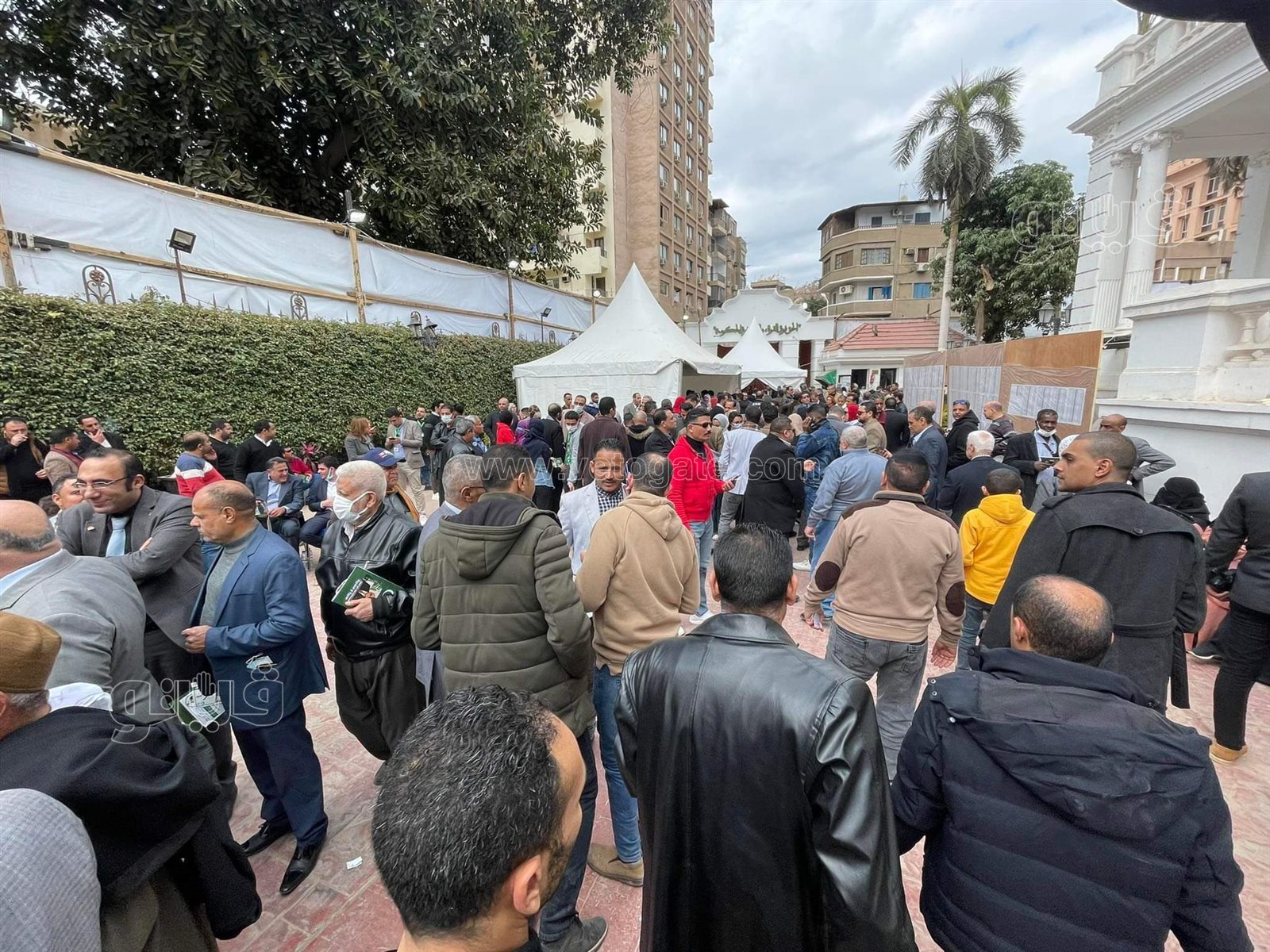 تزايد أعداد الناخبين في انتخابات رئاسة حزب الوفد (10)
