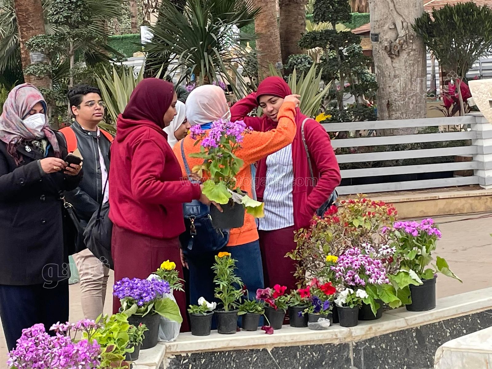 في عيد الأم.. عمال معرض الزهور يوزعون الورد على الأمهات (3)