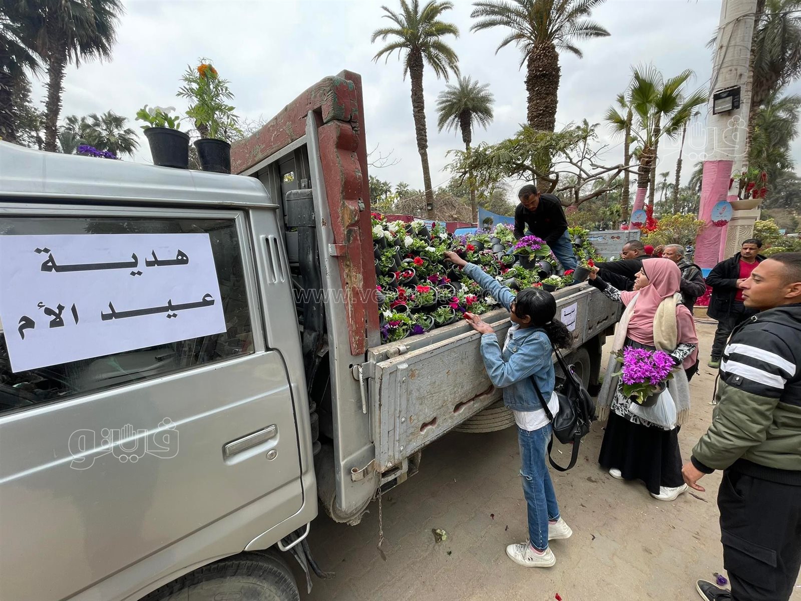 في عيد الأم.. عمال معرض الزهور يوزعون الورد على الأمهات (8)