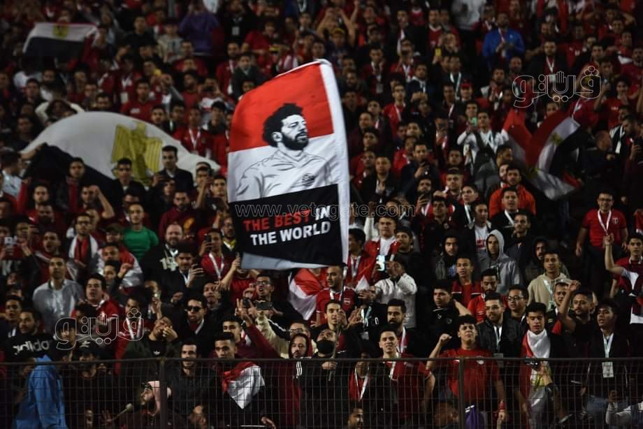 جمهور مصر باستاد القاهرة لمؤازرة المنتخب الوطني (8)