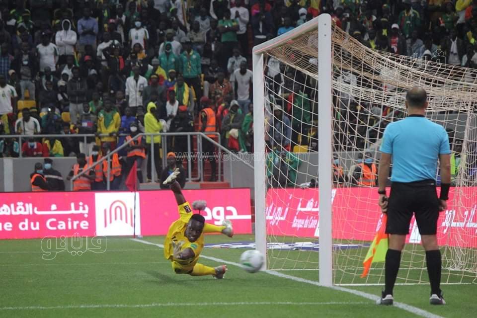 مصر والسنغال (8)