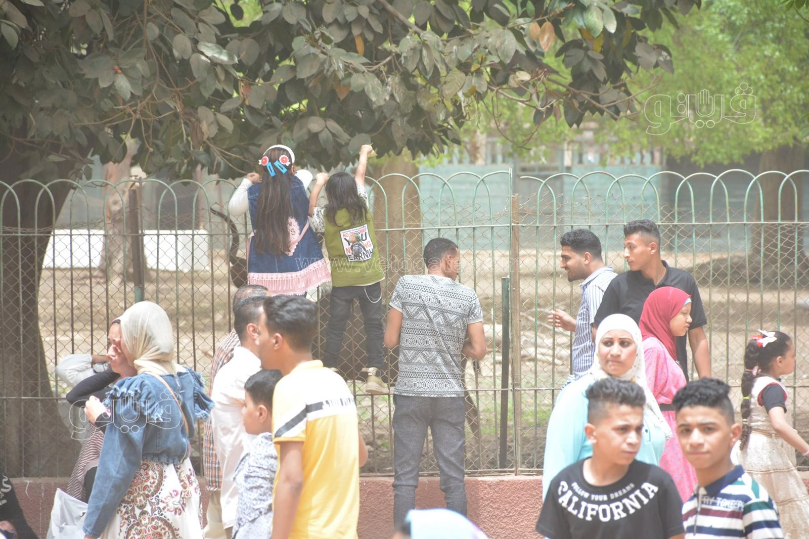 زوار حديقة الحيوان (16)