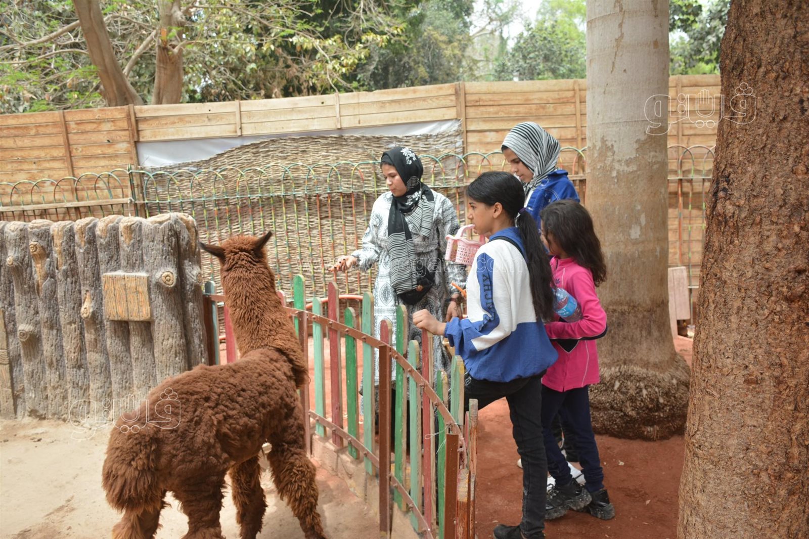 زوار حديقة الحيوان (25)