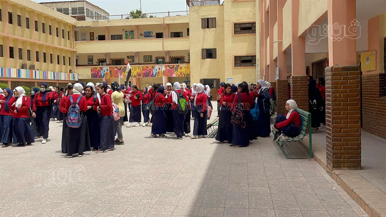 طالبات ثانية ثانوي بالجيزة (4)