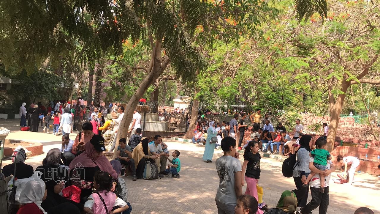 زحام واقبال كبير من العائلات على حديقة الحيوان (5)