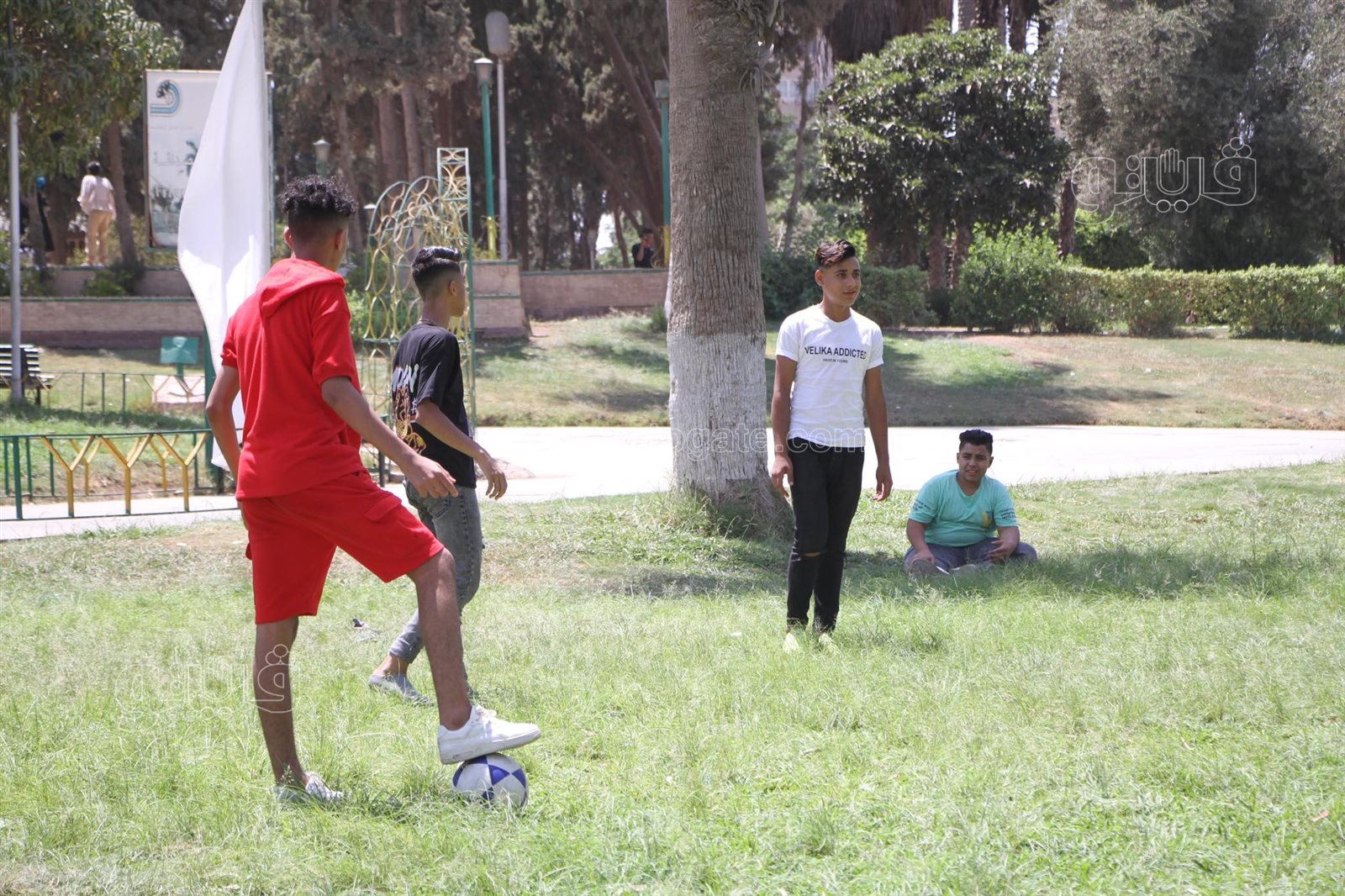  فرحة الأصدقاء تزين احتفالات عيد الأضحى (3)