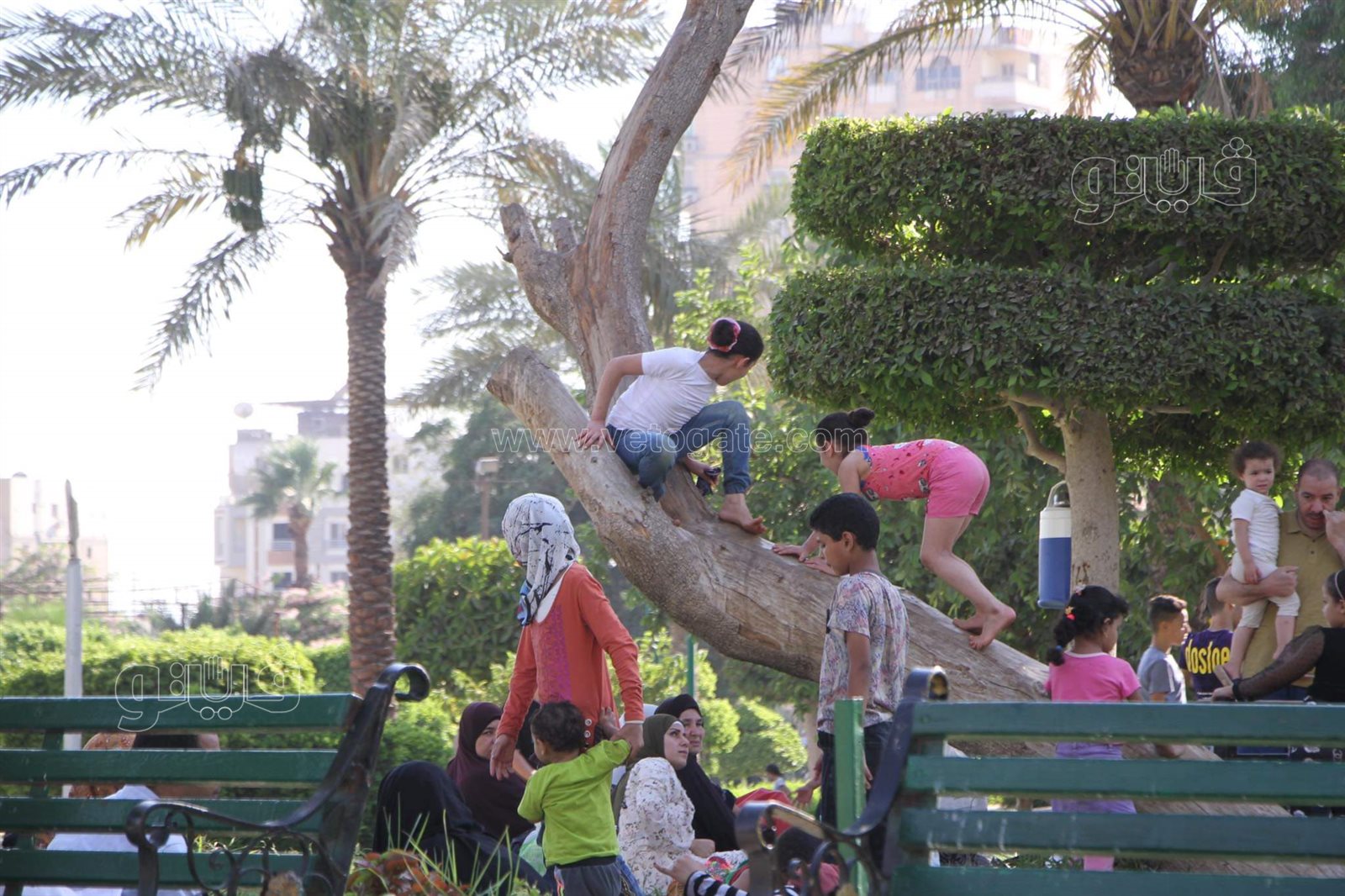 إقبال كبير على الحديقة الدولية خامس أيام إجازة العيد (8)