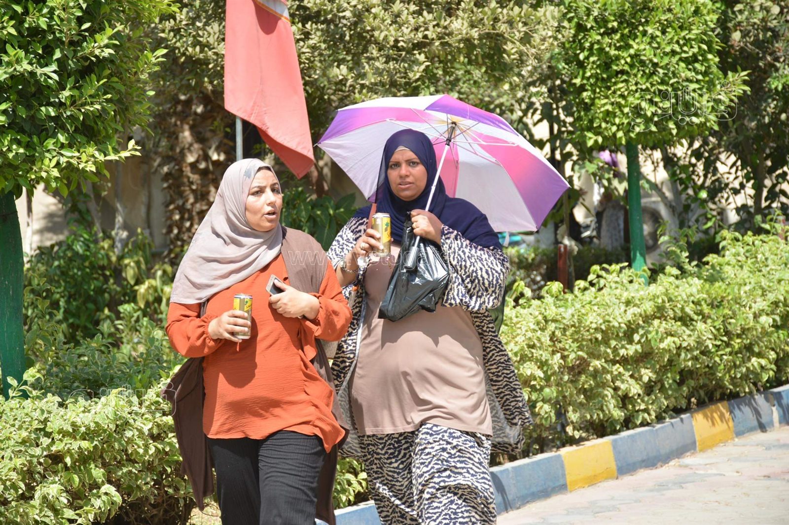بالشمسية والملفات طلاب الثانوية يحتمون من الحر أمام كلية الإعلام (1)
