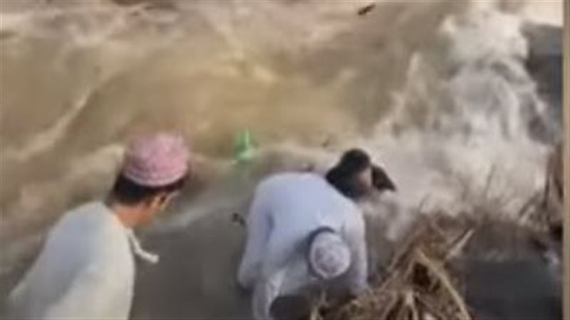 سيول عمان 