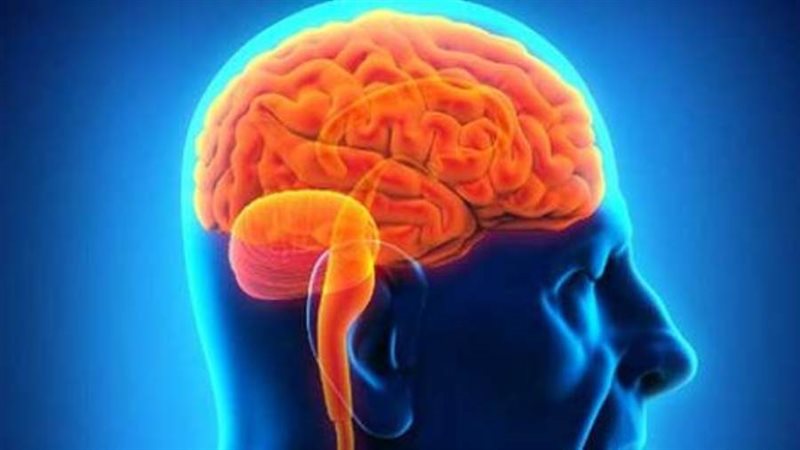 علاج جلطة المخ