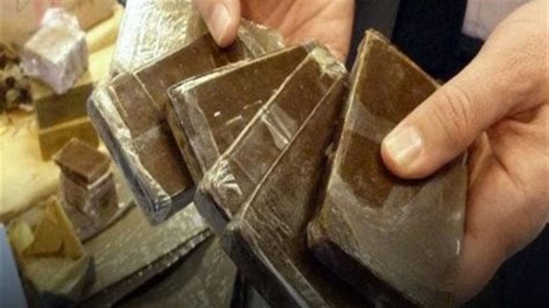 مخدر الحشيش 