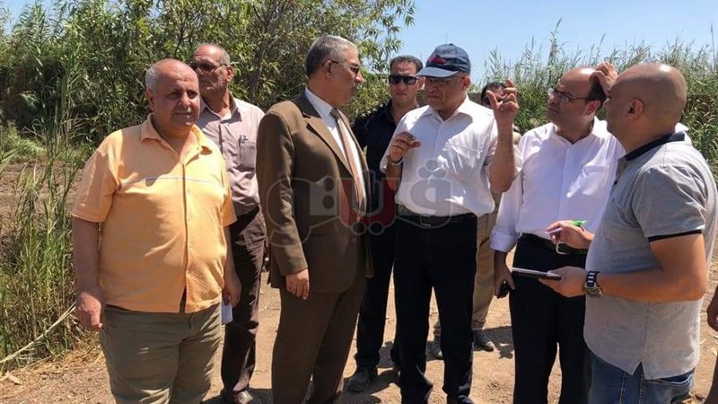 فيتو