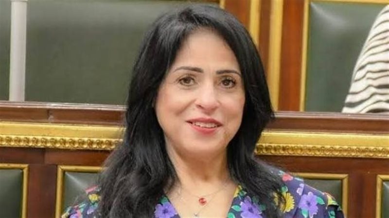 النائبة ميرال الهريدي