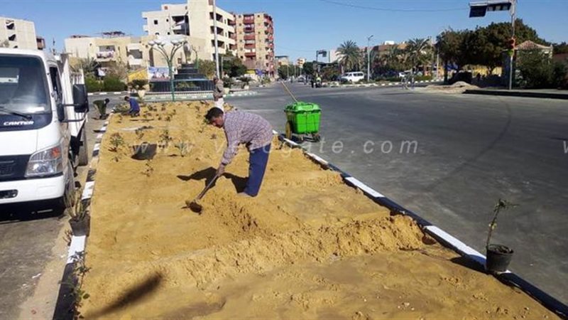 جانب من زراعة الاشجار
