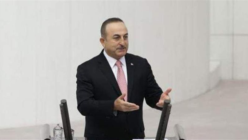 وزير الخارجية التركي