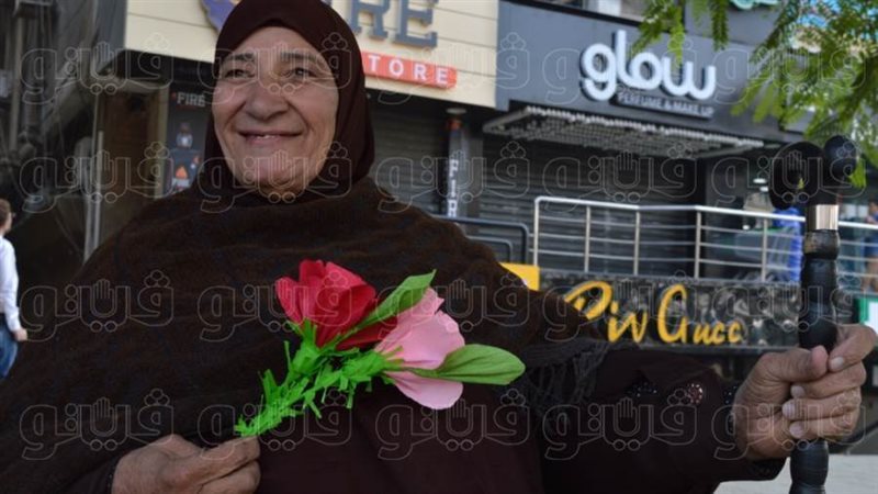 فيتو