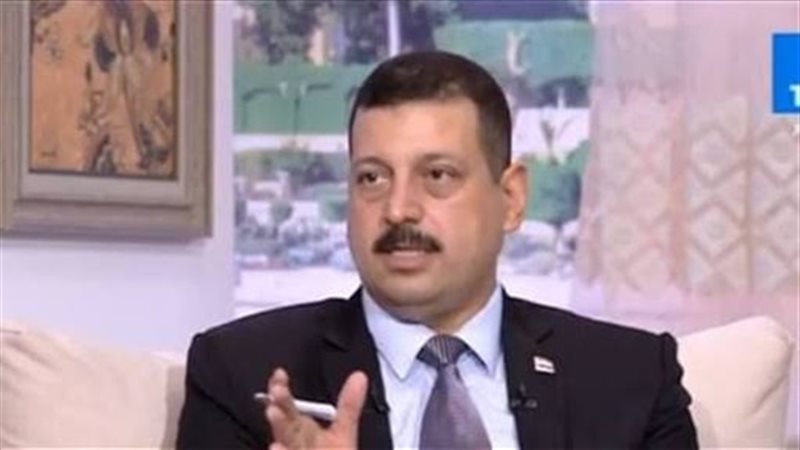  الدكتور أيمن حمزة،