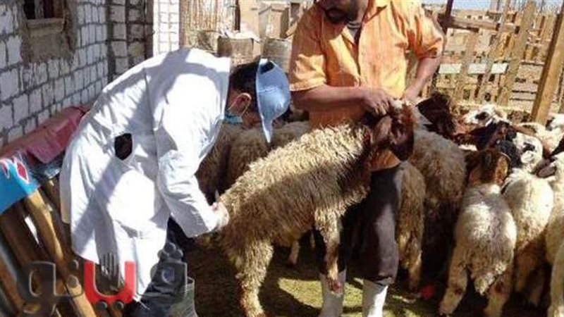 اعمال التصينات