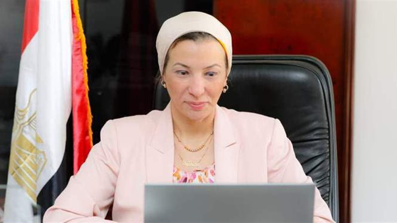 ياسمين فؤاد وزيرة