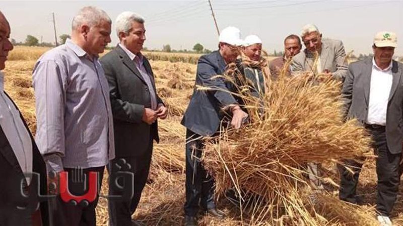 انطلاق موسم حصاد