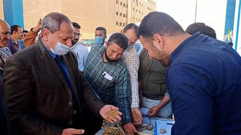 وكيل وزارة التموين