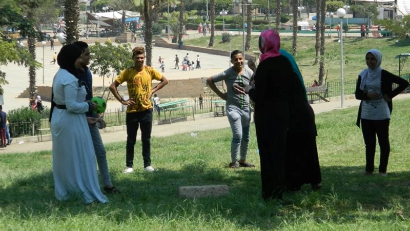فيتو